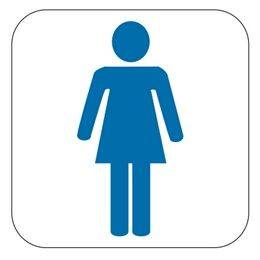 Placa Banheiro Feminino Pictograma Azul To search on pikpng now. placa banheiro feminino pictograma azul